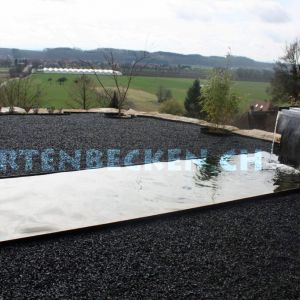 Gartenbecken 014